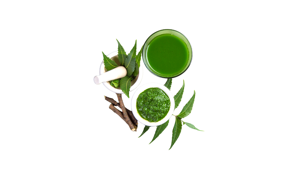 Neem Powder